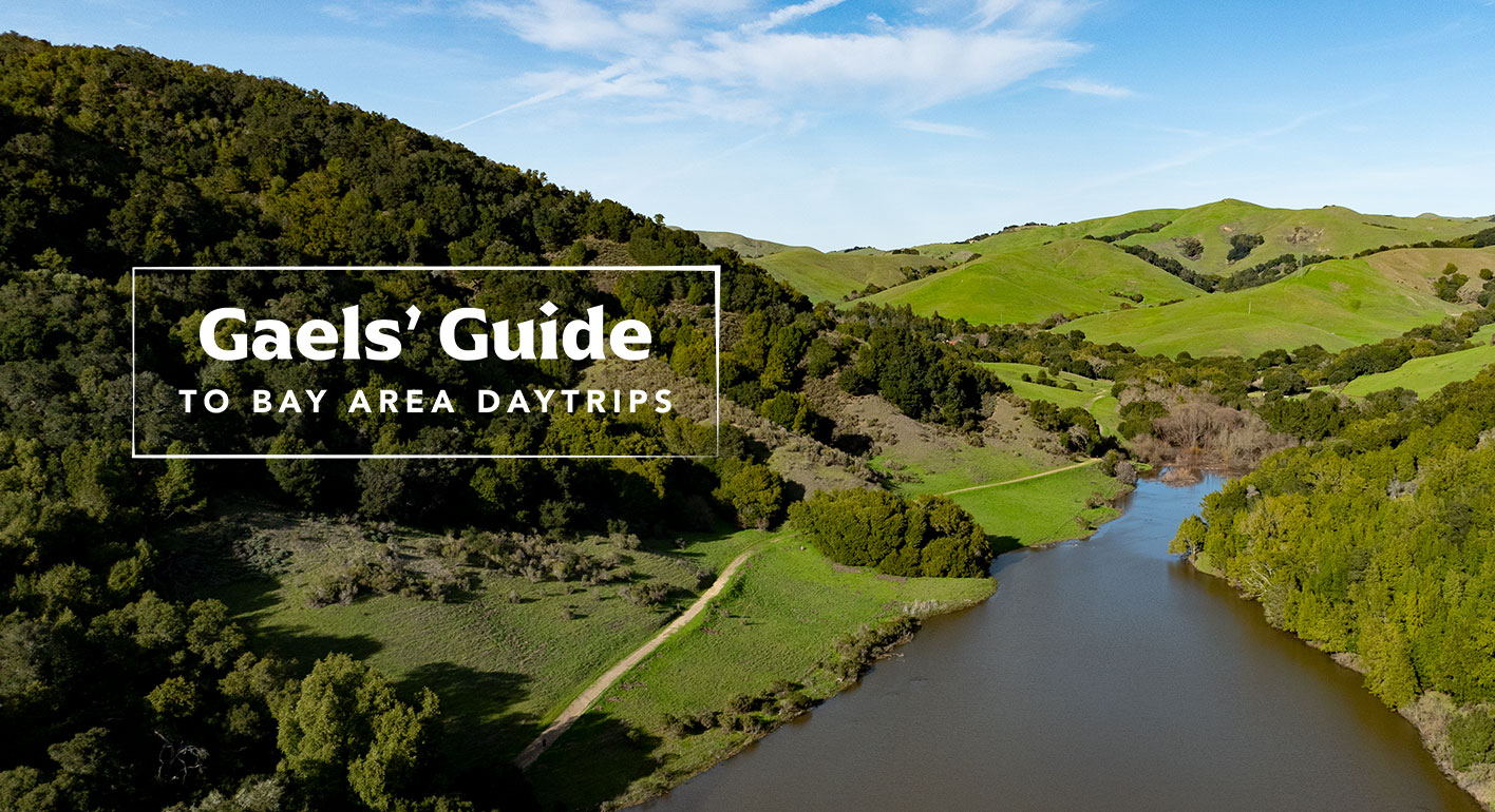 Gaels' Guide to Bay Area Daytrips over Rolling Green Hills of Lamorinda