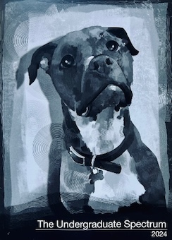 2024 Undergrad Spectrum