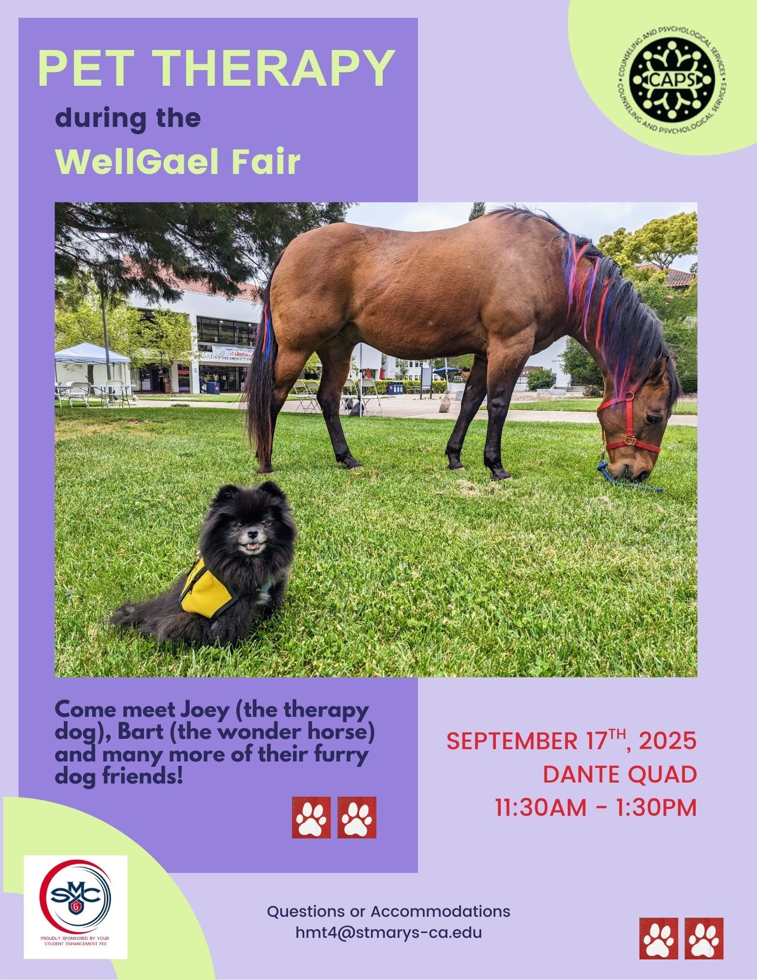 Pet Therapy During The WellGael Fair