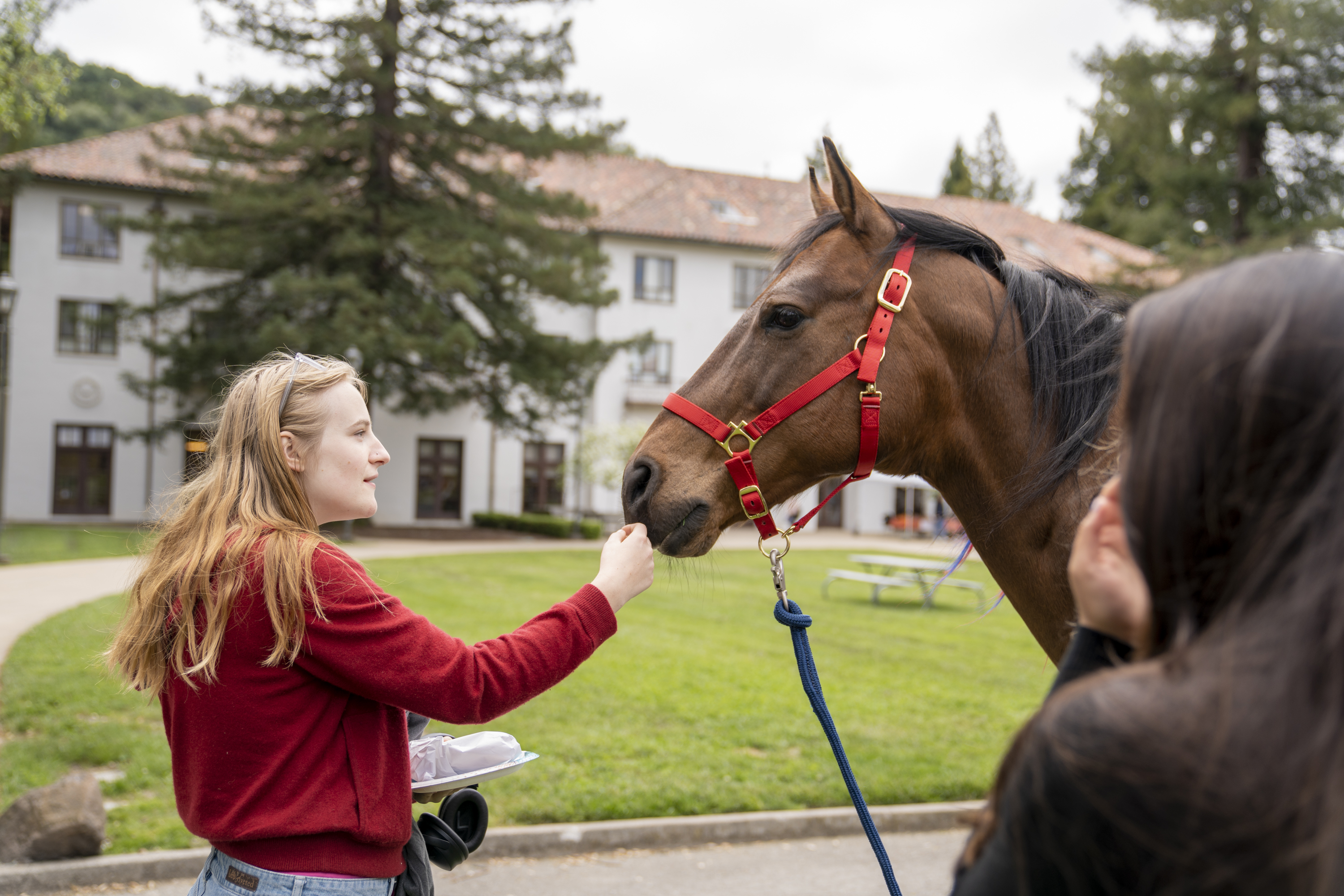 Student with Bart the horse on campus