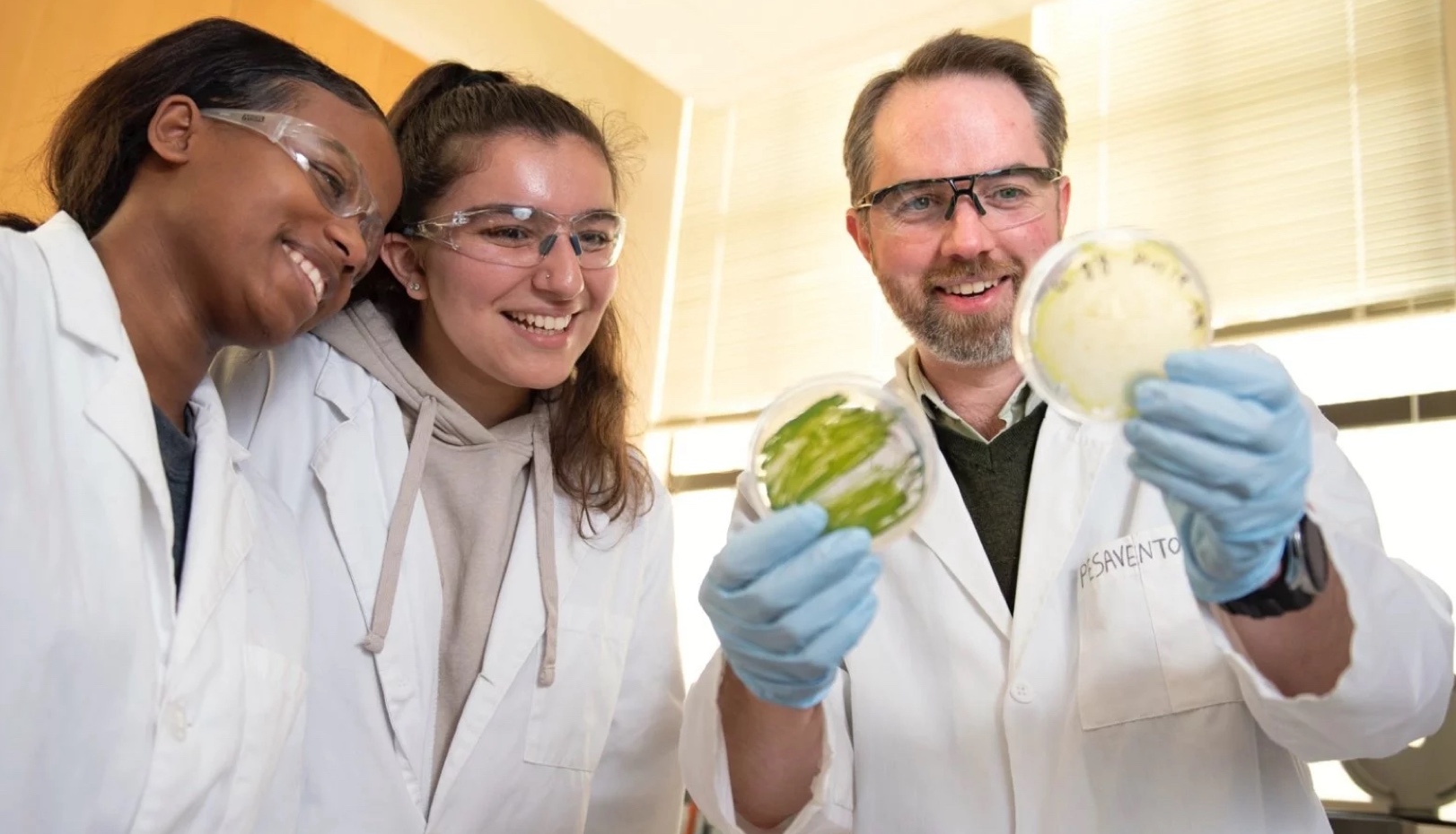 Jim Pesavento looking at algae with students