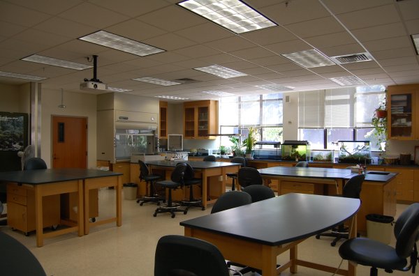 BROH 113 Image 2