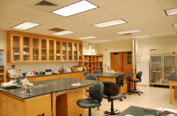 Microbiology Lab Image