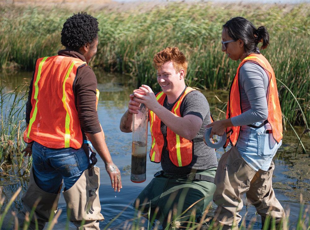 Three science students in a creek doing environmental studies
