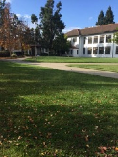 lawn