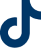 tiktok icon
