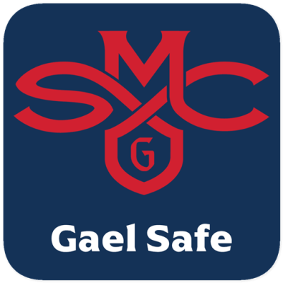 Gael Safe icon