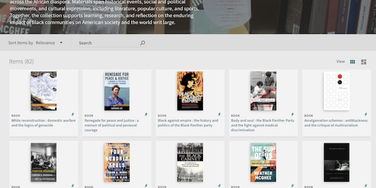 screenshot of the Black Experience Collection landing page showing thumbnails of book covers