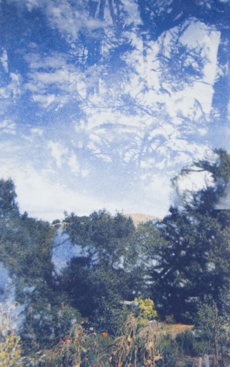 Photo of sky and trees as part of exhibit by Zack Clark
