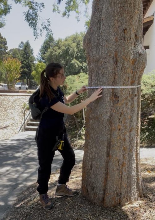 Kira Tippit '27 conducting field research