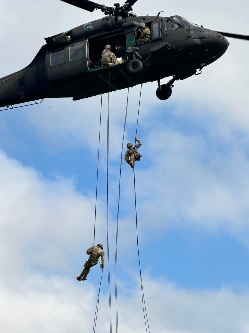 Dylin repelling 