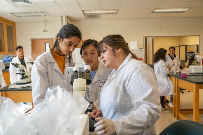Three students looking at a microscope in a lab class