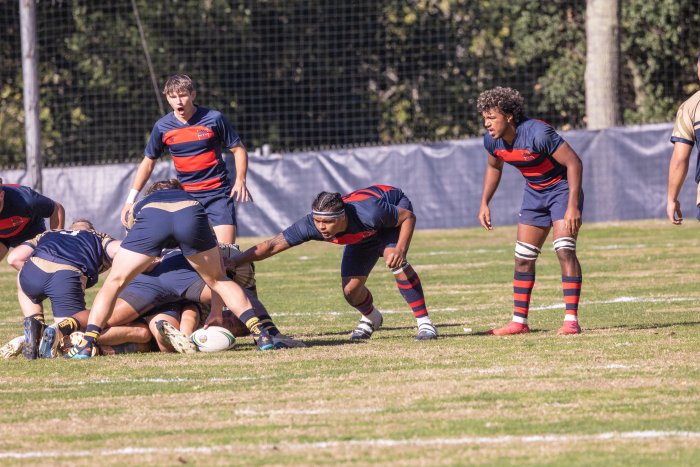 Men's Rugby