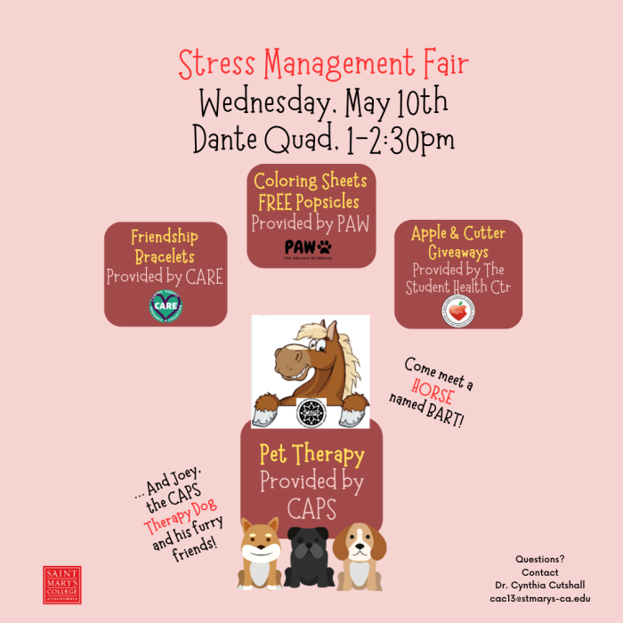 Stress Management Fair