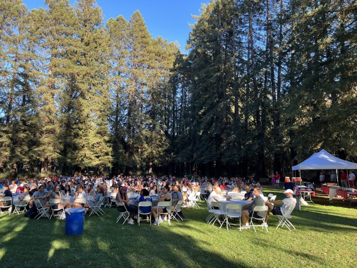 People having a BBQ in the Redwood Grove