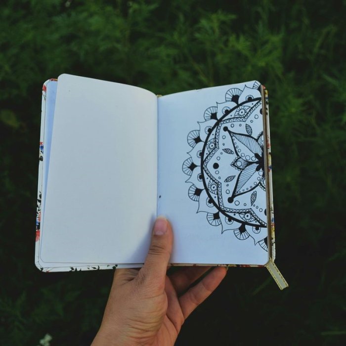 Person Holding Open Book with Floral Drawing
