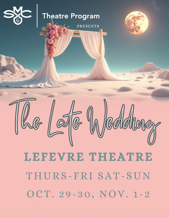 The Late Wedding image of a chuppah on a pink beach with a big moon