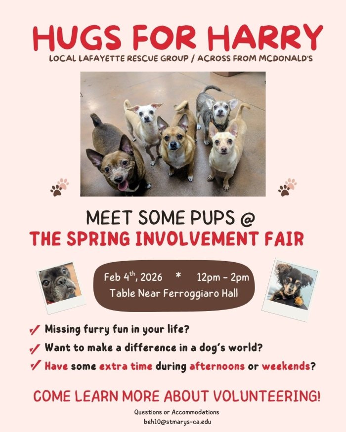 Dog Rescue Organization