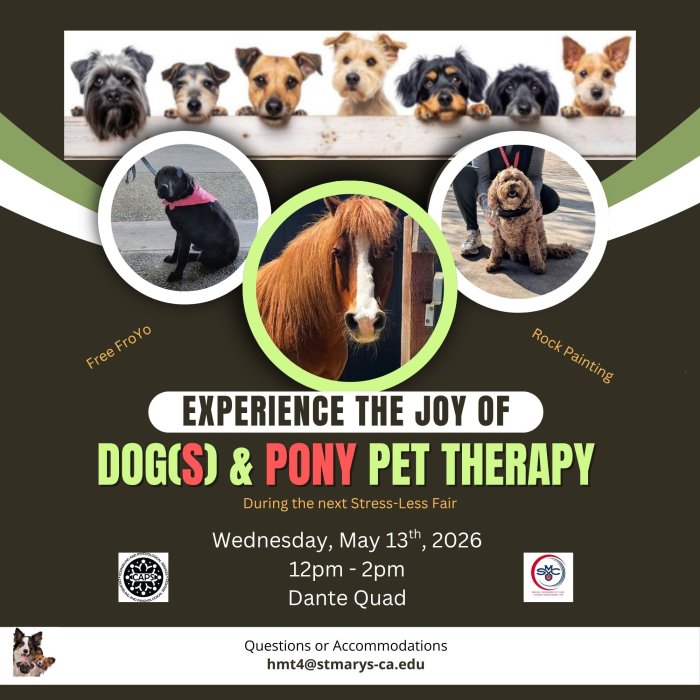 Pet Therapy During The Stress-Less Fair