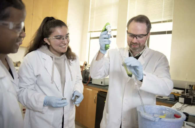 people working in lab