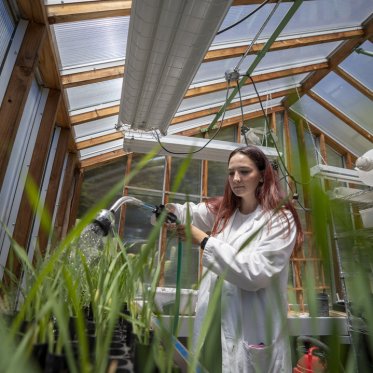 A student wearing a lab coat is watering plants in a greenhouse