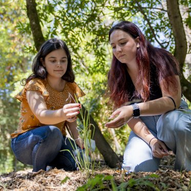 2 research students collecting aphids in the forest