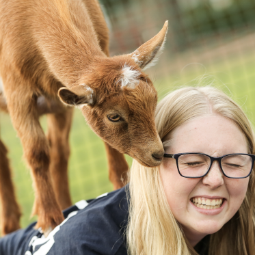 Student with a goat on her back during  goat yoga event