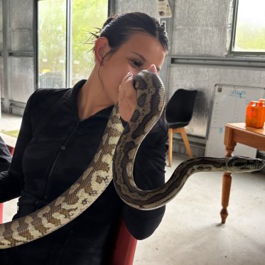 Snake