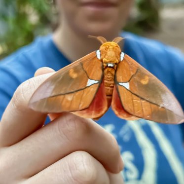 Student with moth on finger
