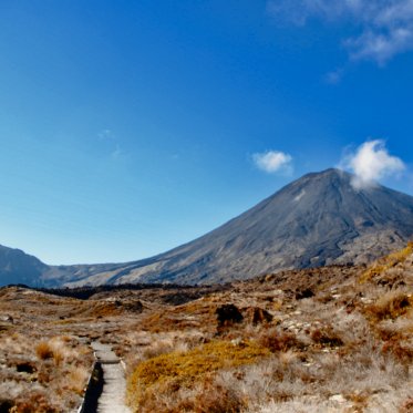 NZ Mountain