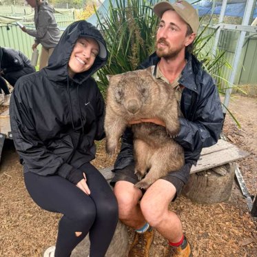 Wombat