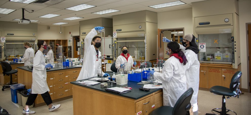 Several Science students working in a laboratory