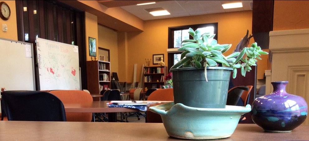 A plant on a desk in the Writing Center.