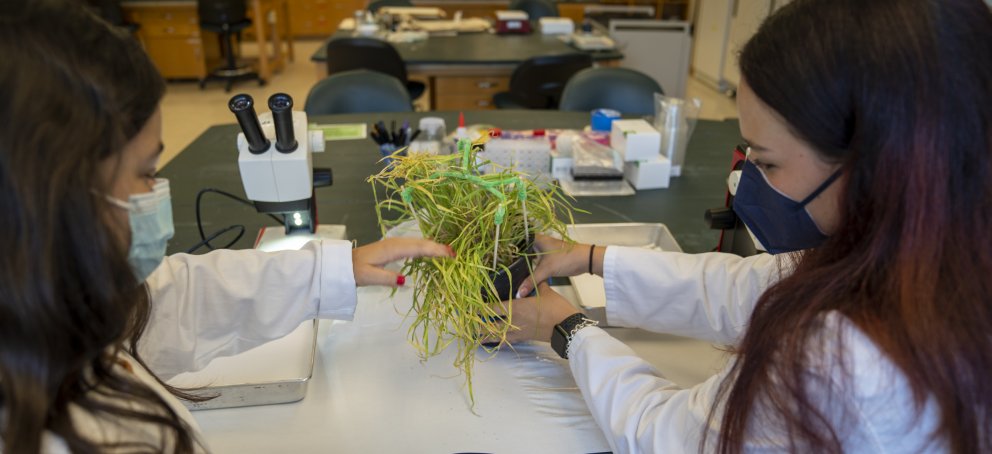 2 Science students in a lab holding a green grass plant.