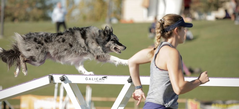 McKenzie and her dog Safari in running 