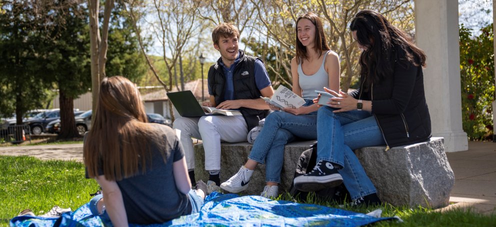 Gael students on the lawn studying