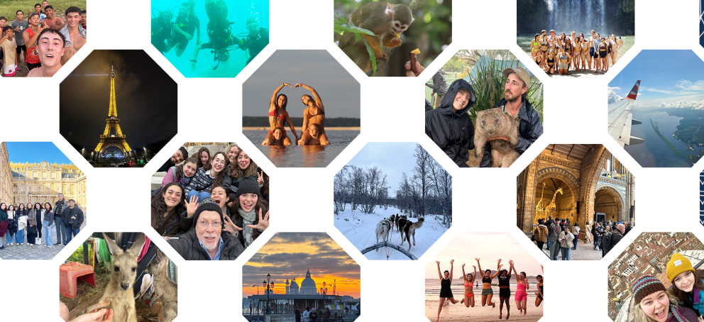 Jan Term Travel Collage