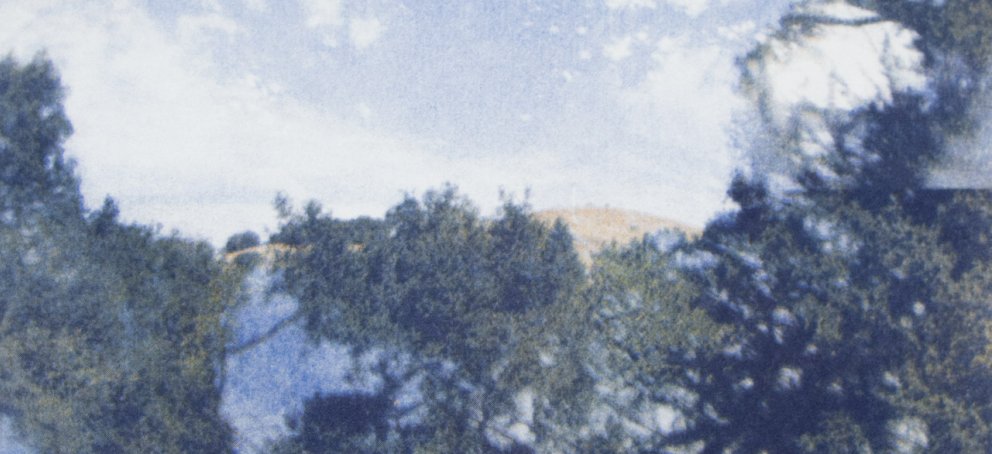 detail of print from Walking The Quiet