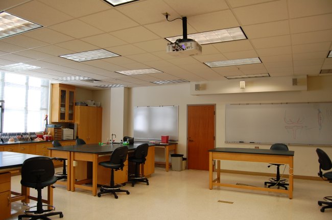 Anatomy Labe Image 2