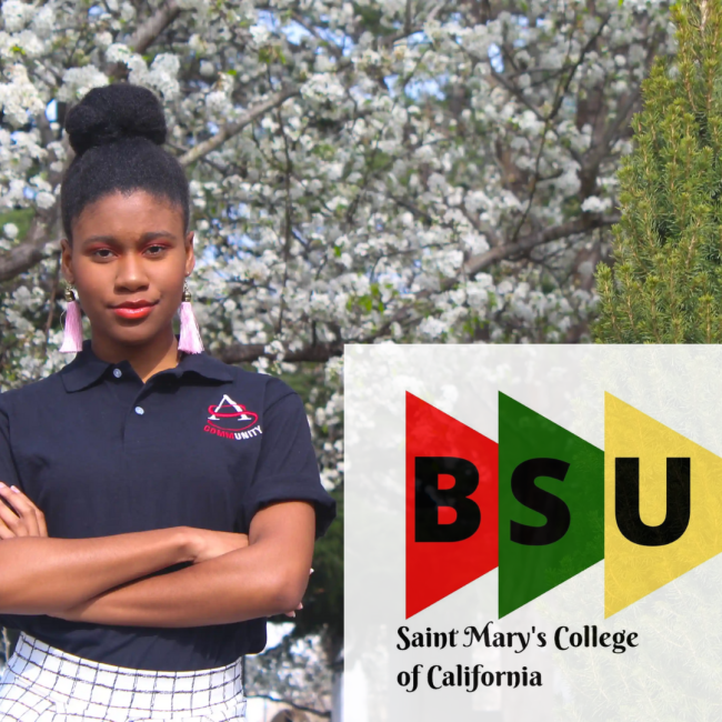 bsu profile
