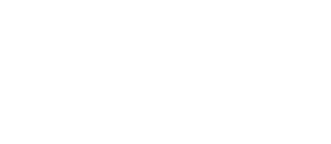 SEBA Graduate Business Programs