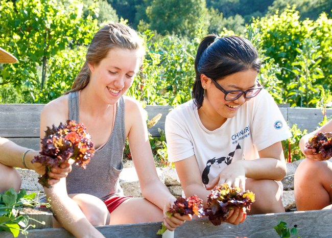 Saint Mary's College Economics Degree Students in the Legacy Garden