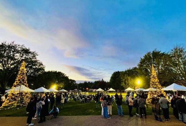 Trees illuminated by Christmas lights on Chapel Lawn at the 2023 Saint Mary's Winter Fest