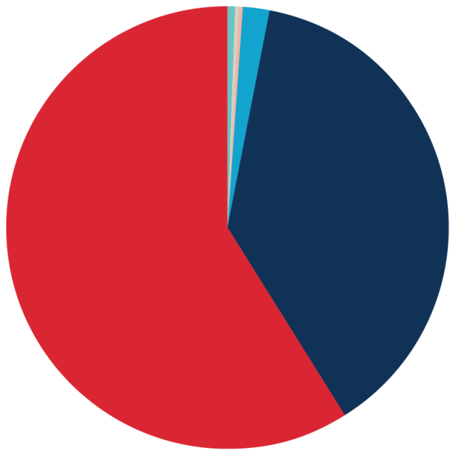 Chart showing where Saint Mary's Graduates go
