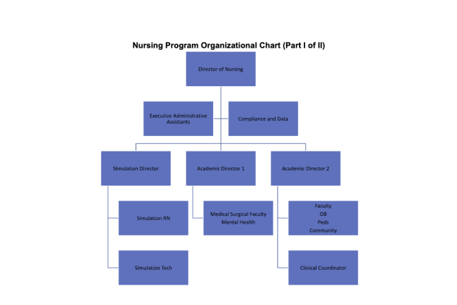 Nursing Program Org Chart 1/2