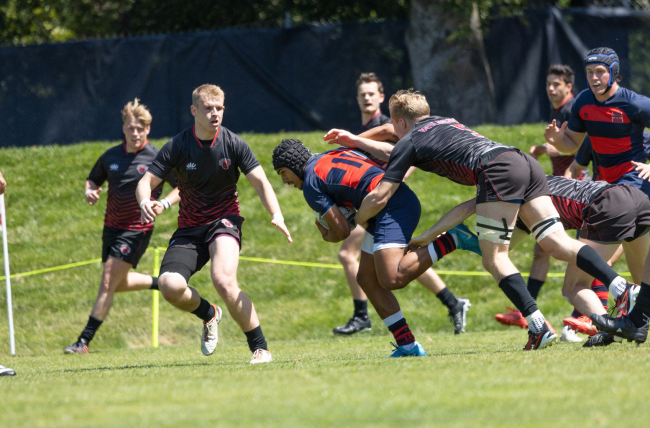 Men's Rugby