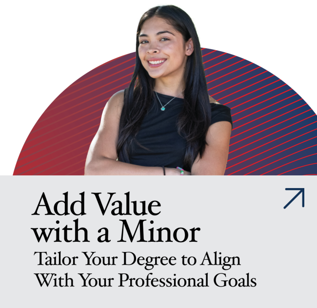 saint mary's business minor