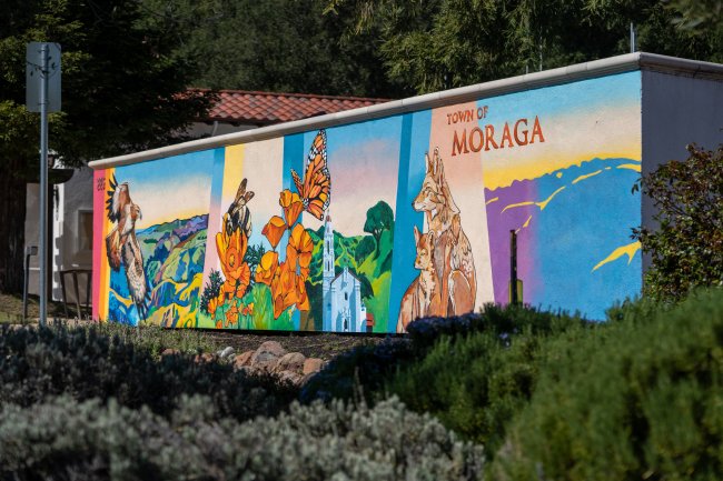 Moraga Mural