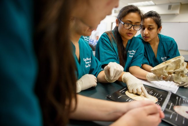 Students examining bones in a a human anatomy class