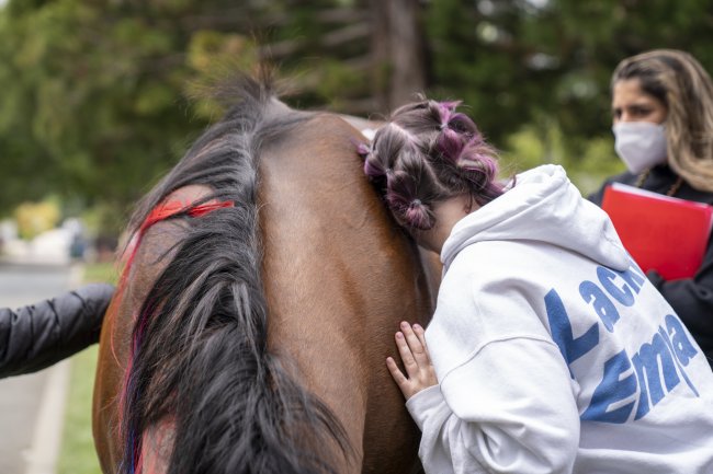 Student lightly leaning on Bart the horse on campus.